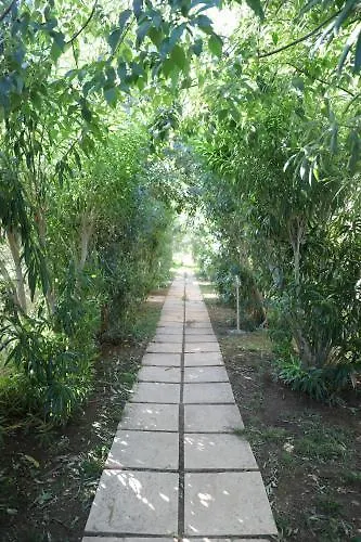 U Libecciu Macinaggio (Corsica)